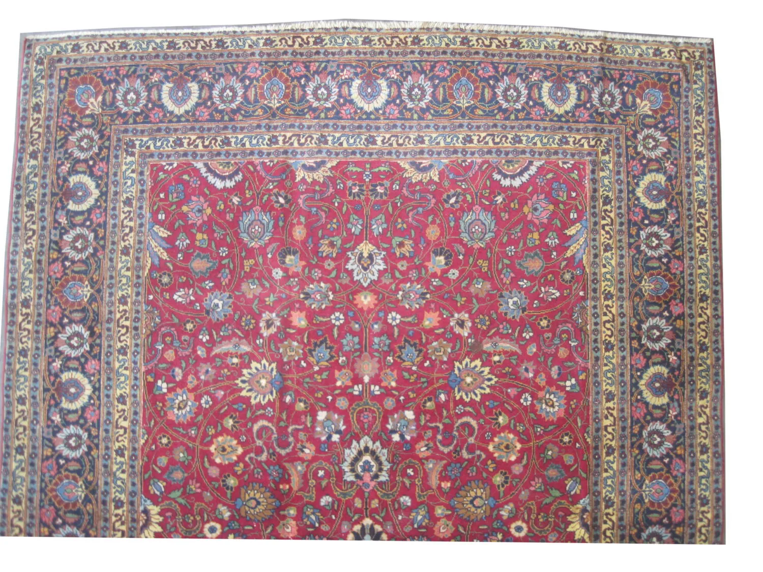 Tabriz Persian - Image 2