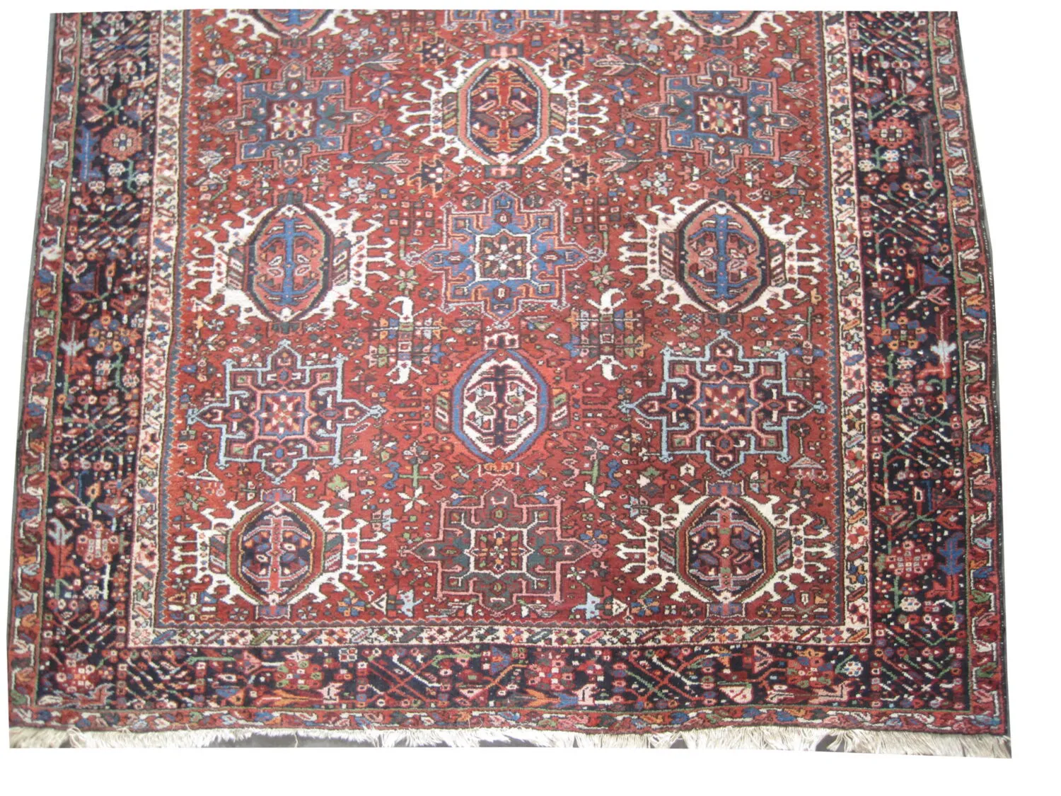 Karadja Persian - Image 3