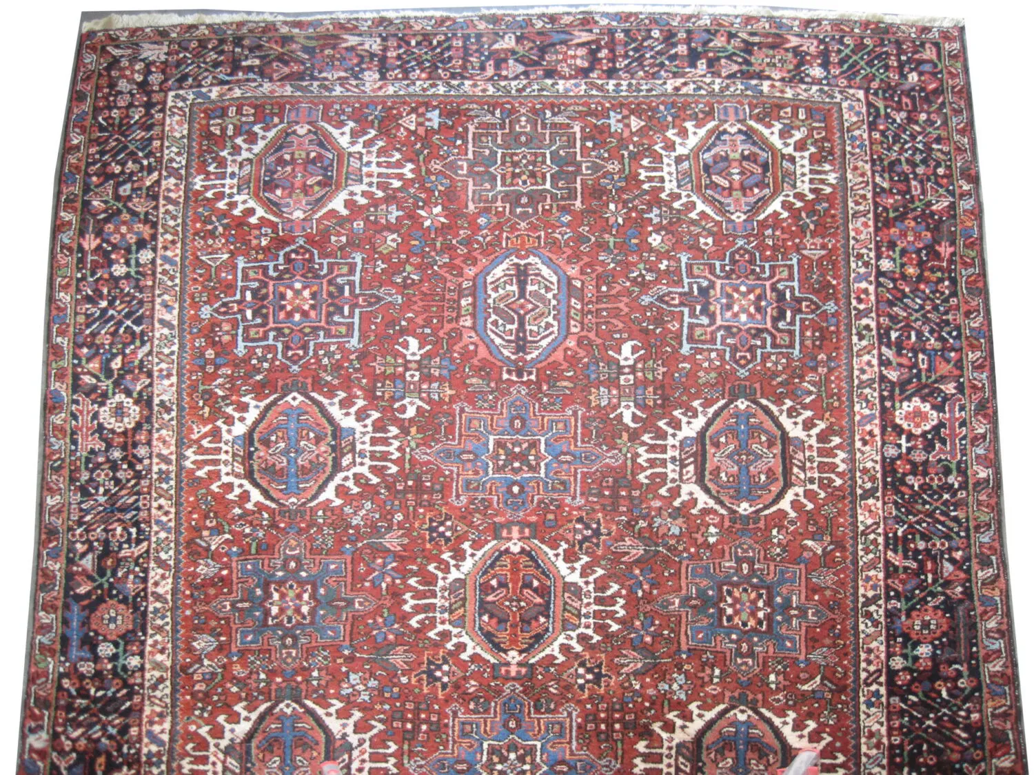 Karadja Persian - Image 2