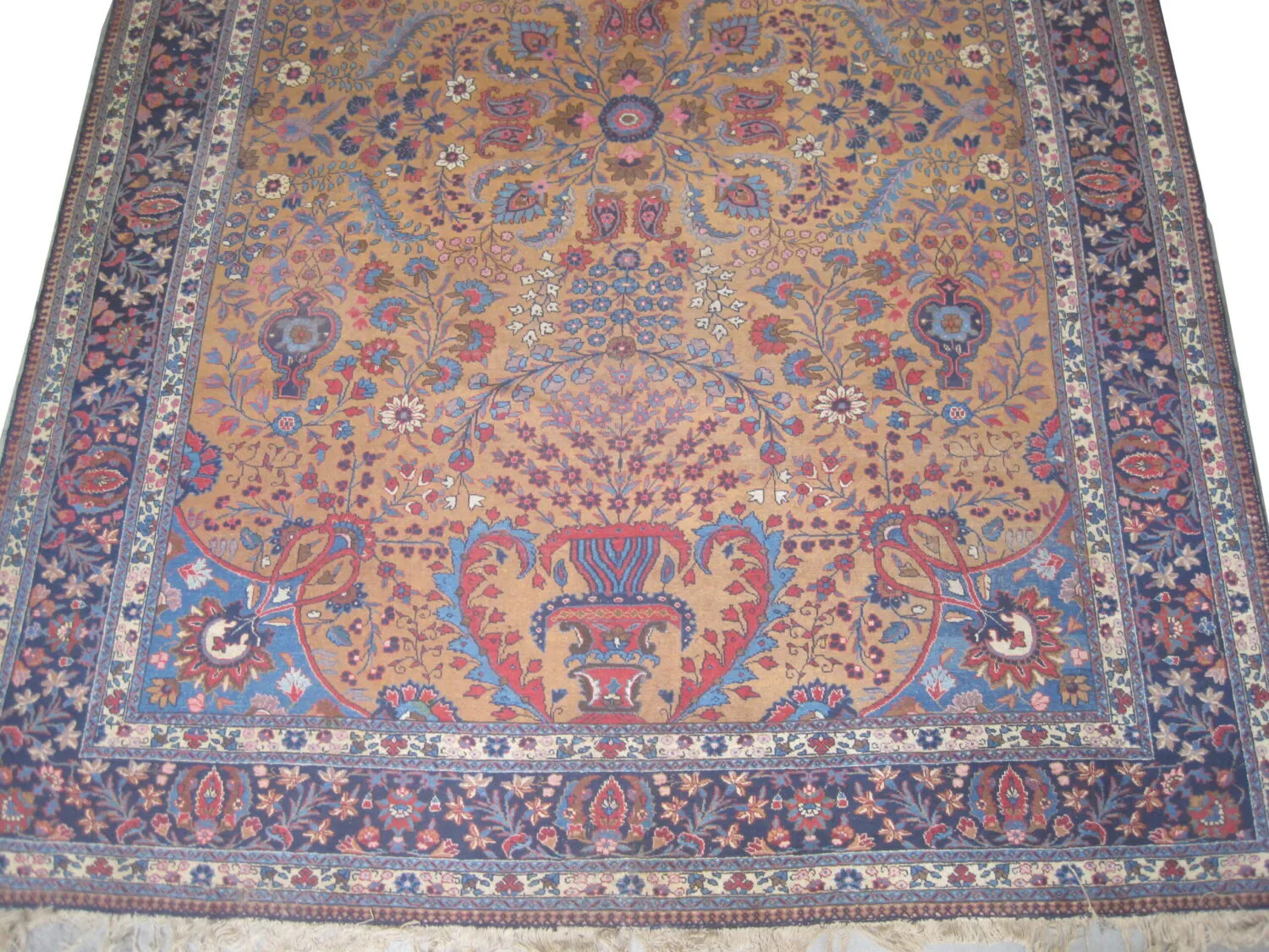 Tabriz Persian - Image 3
