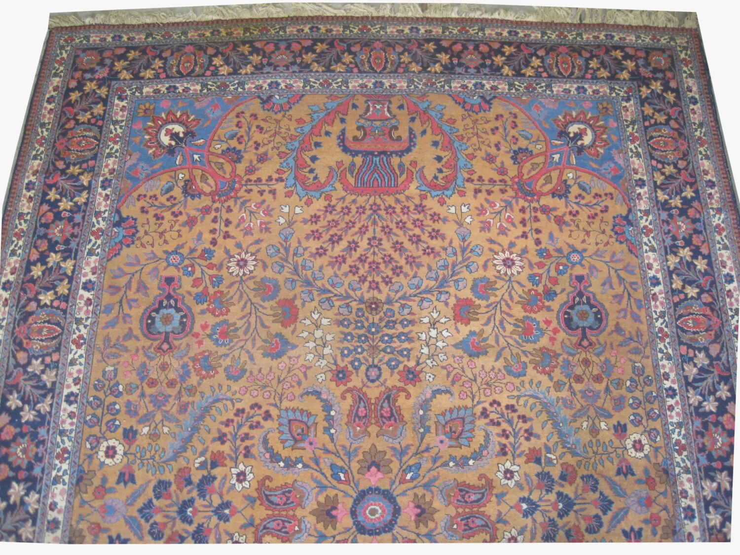 Tabriz Persian - Image 2