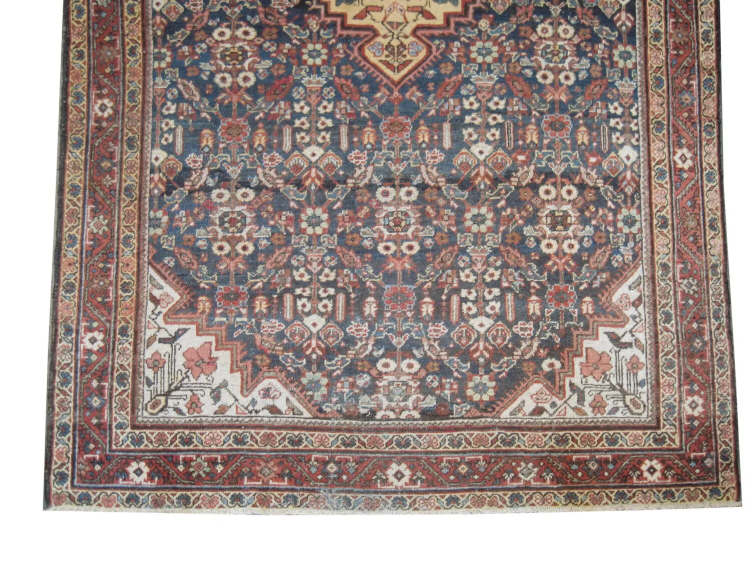 Mahal Persian - Image 4