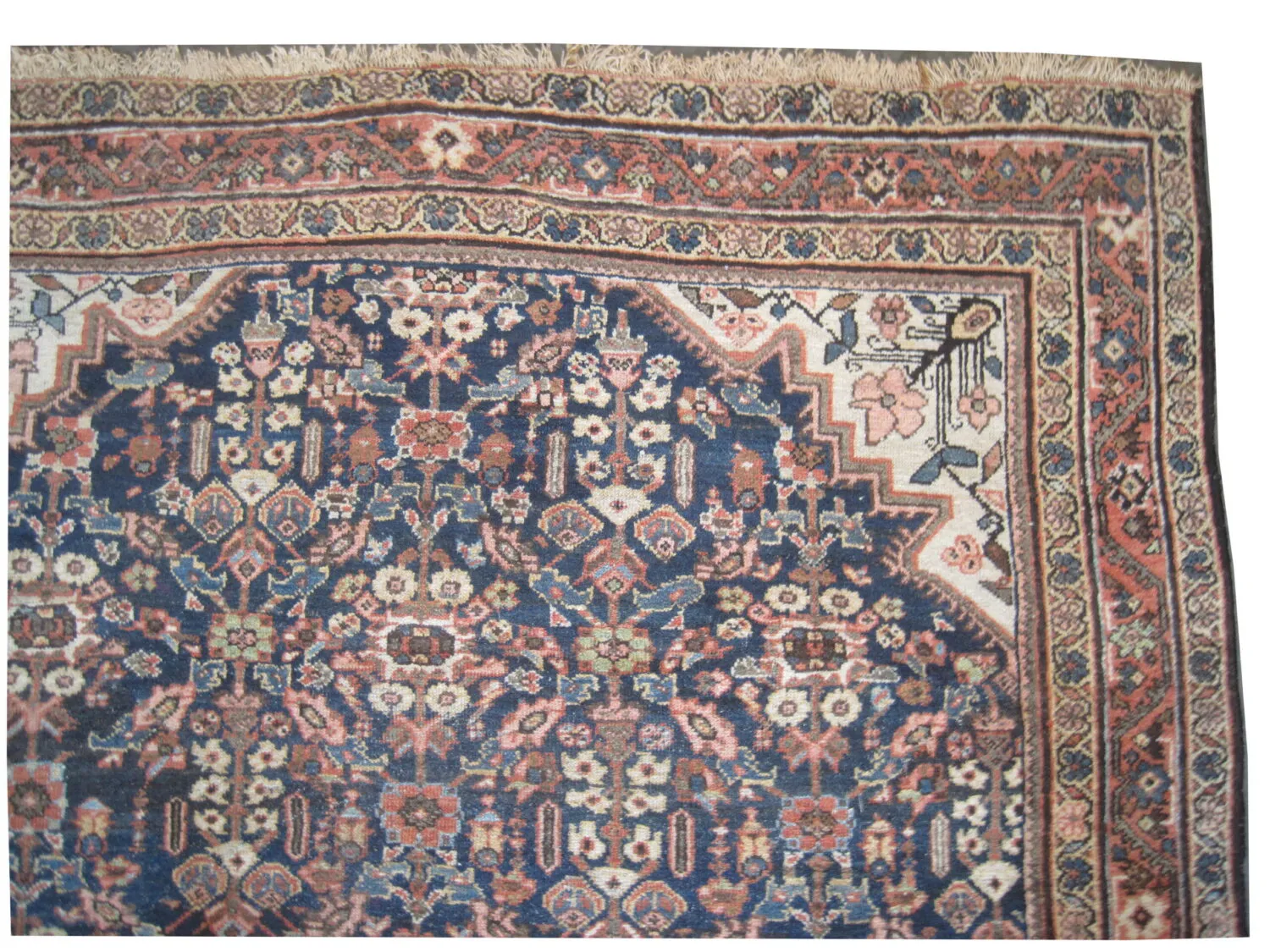 Mahal Persian - Image 2