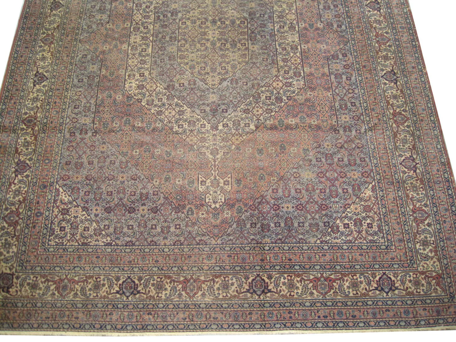 Tabriz Persian - Image 2