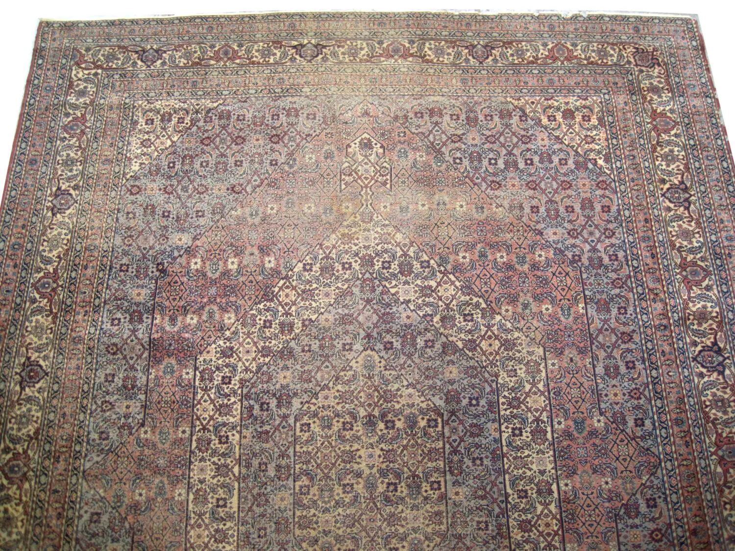 Tabriz Persian - Image 3