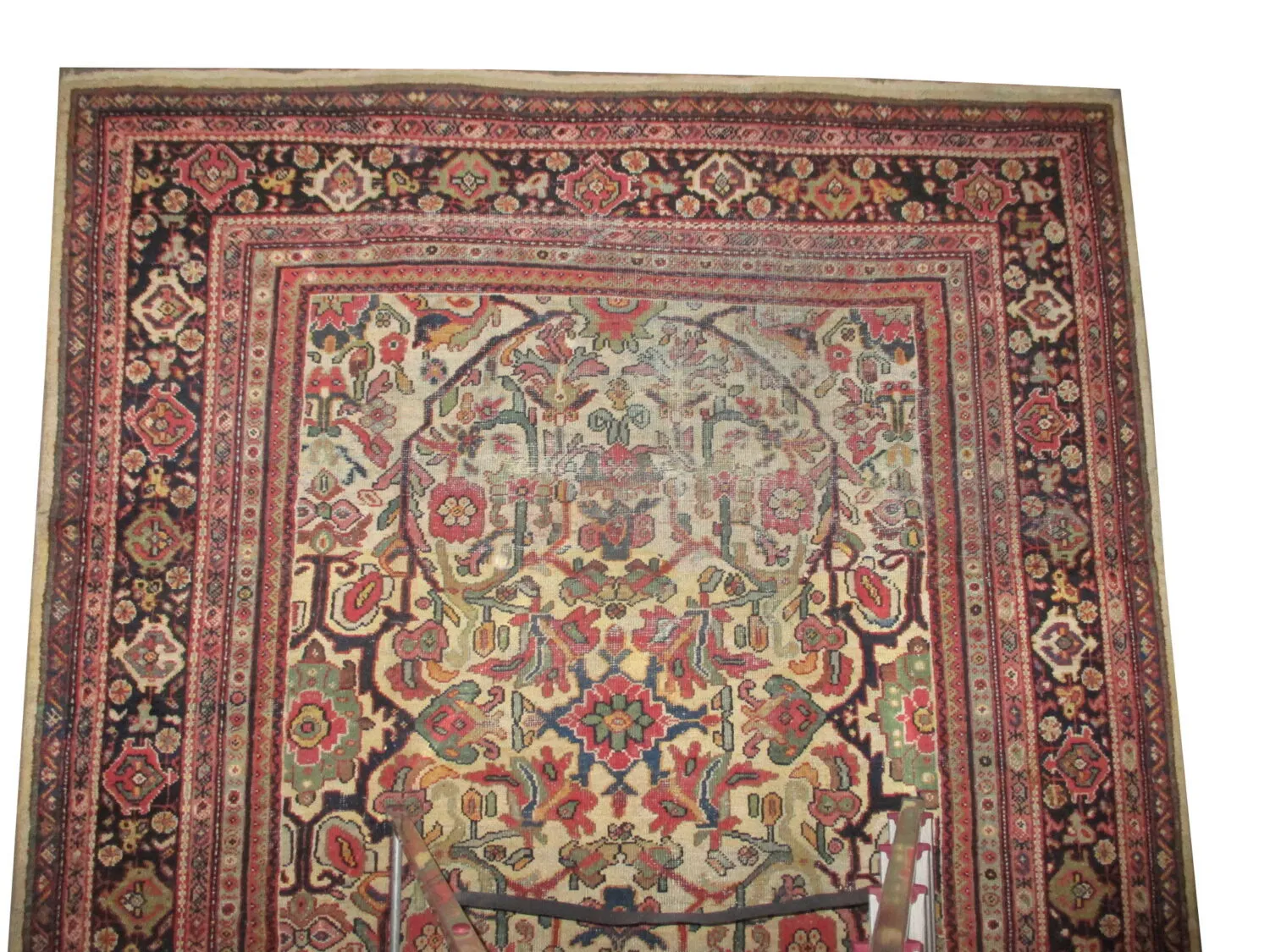 Mahal Persian - Image 2