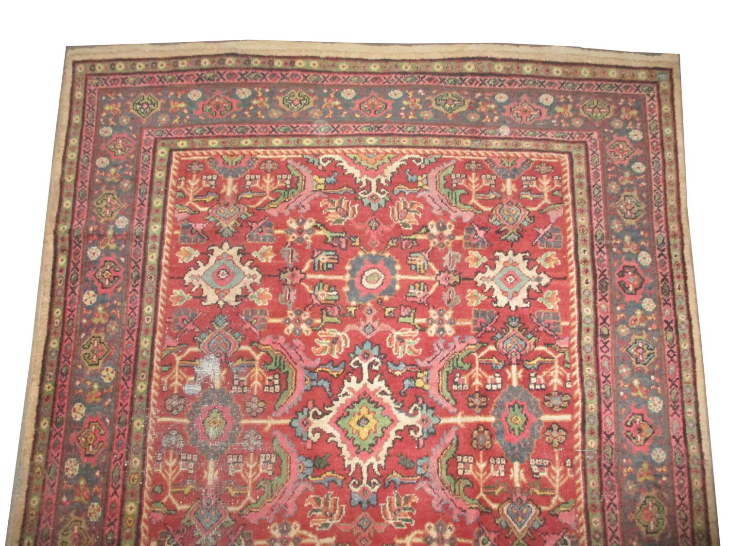 Mahal Persian - Image 2