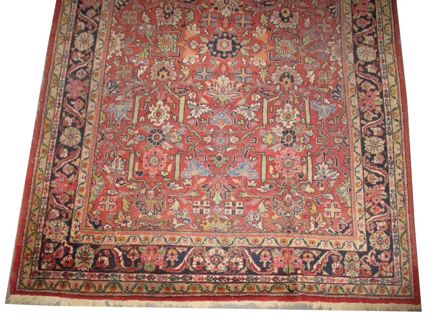 Mahal Persian - Image 3