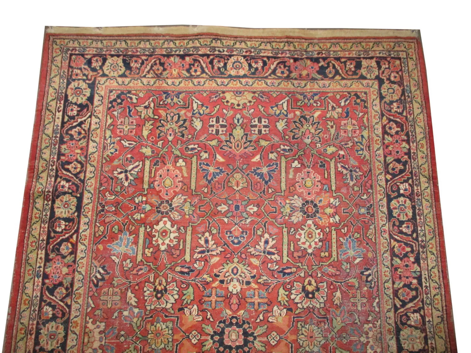 Mahal Persian - Image 2
