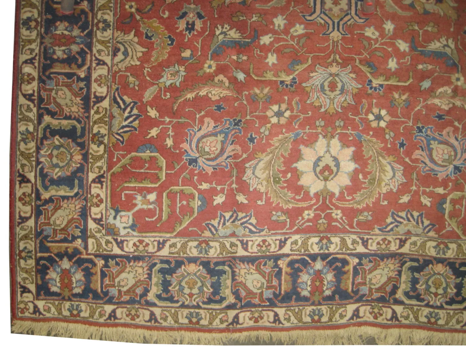 Tabriz Persian - Image 4