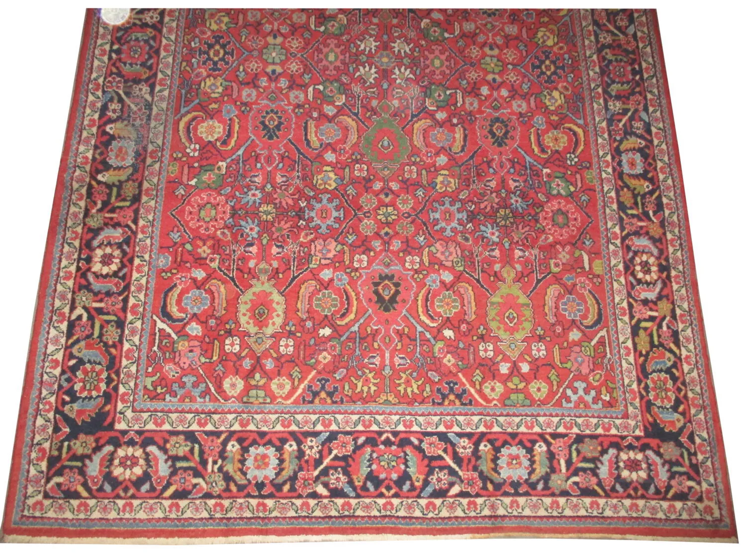 Mahal Persian - Image 3