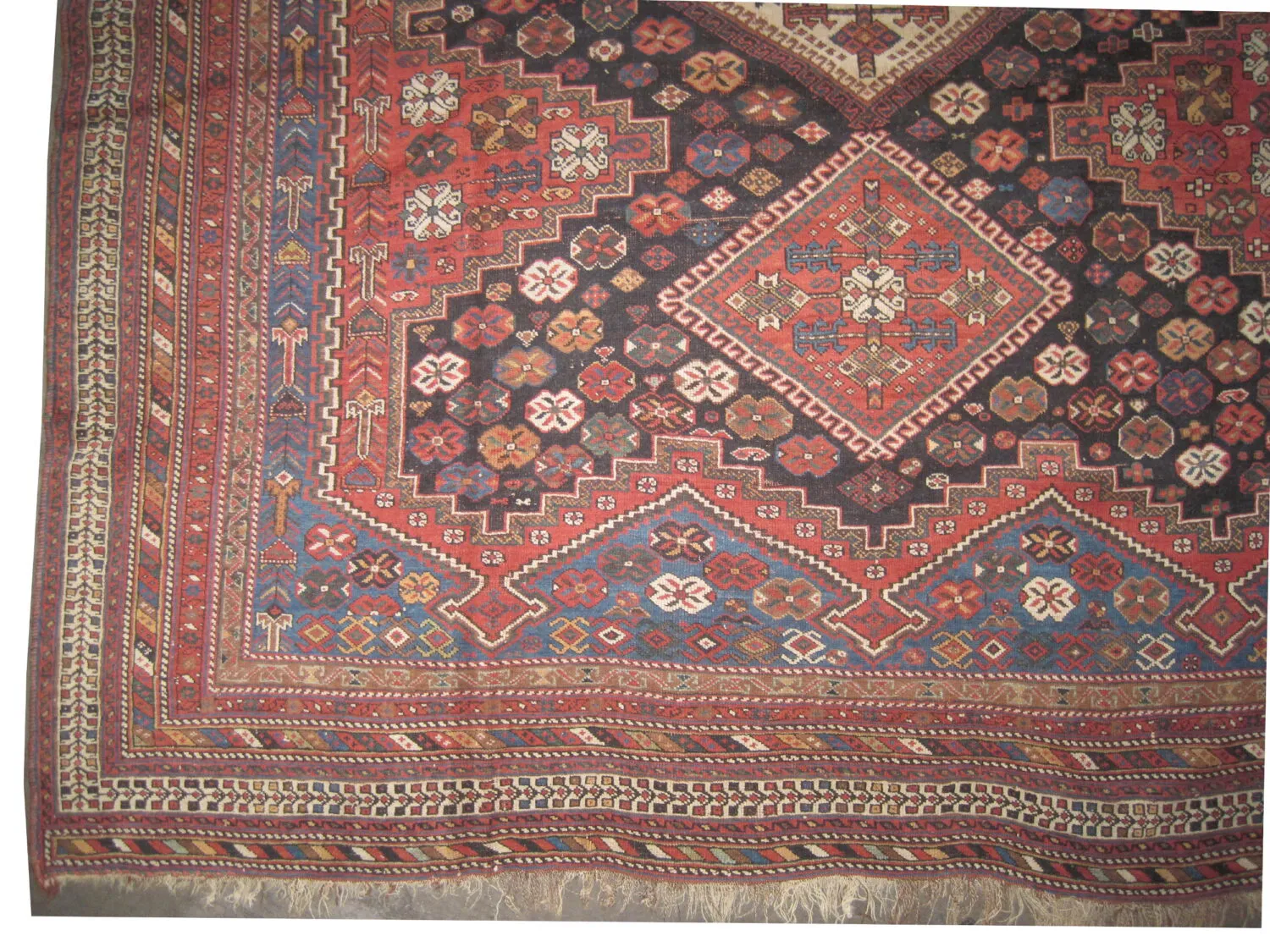 Afshar Persian - Image 4