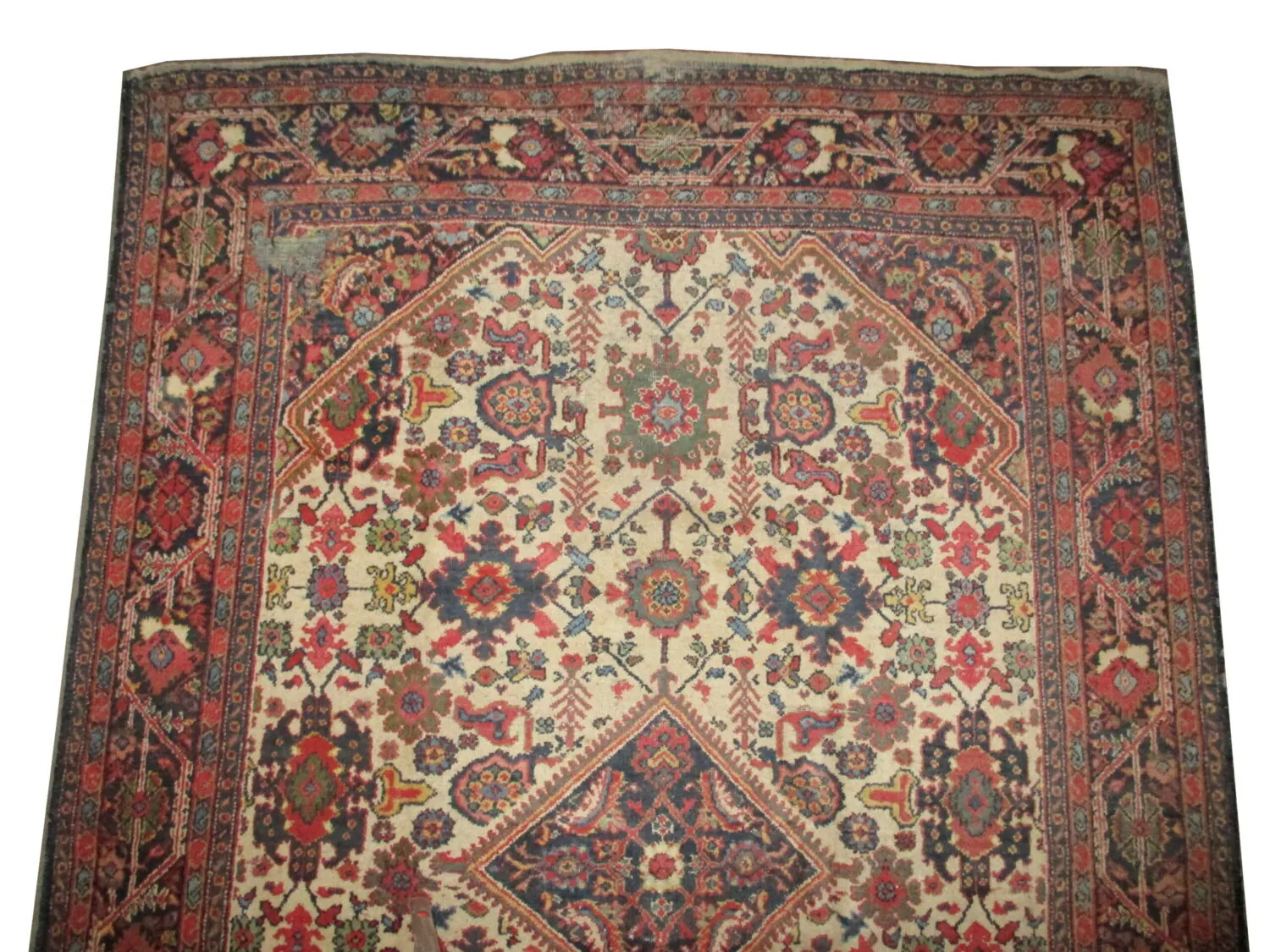 Mahal Persian - Image 2