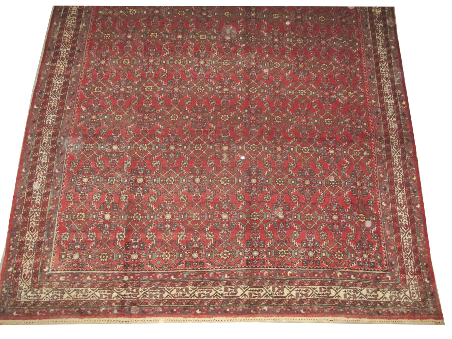 Khosrovabad Persian - Image 4