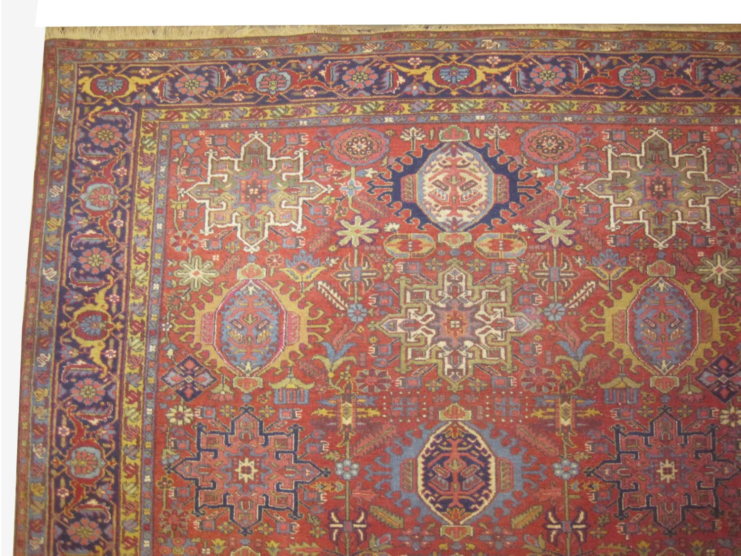 Karadja Persian - Image 2