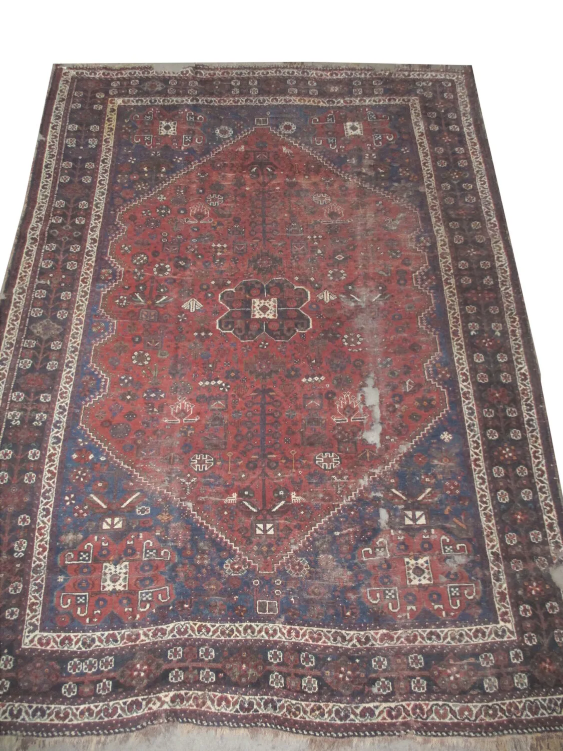 Shiraz Persian