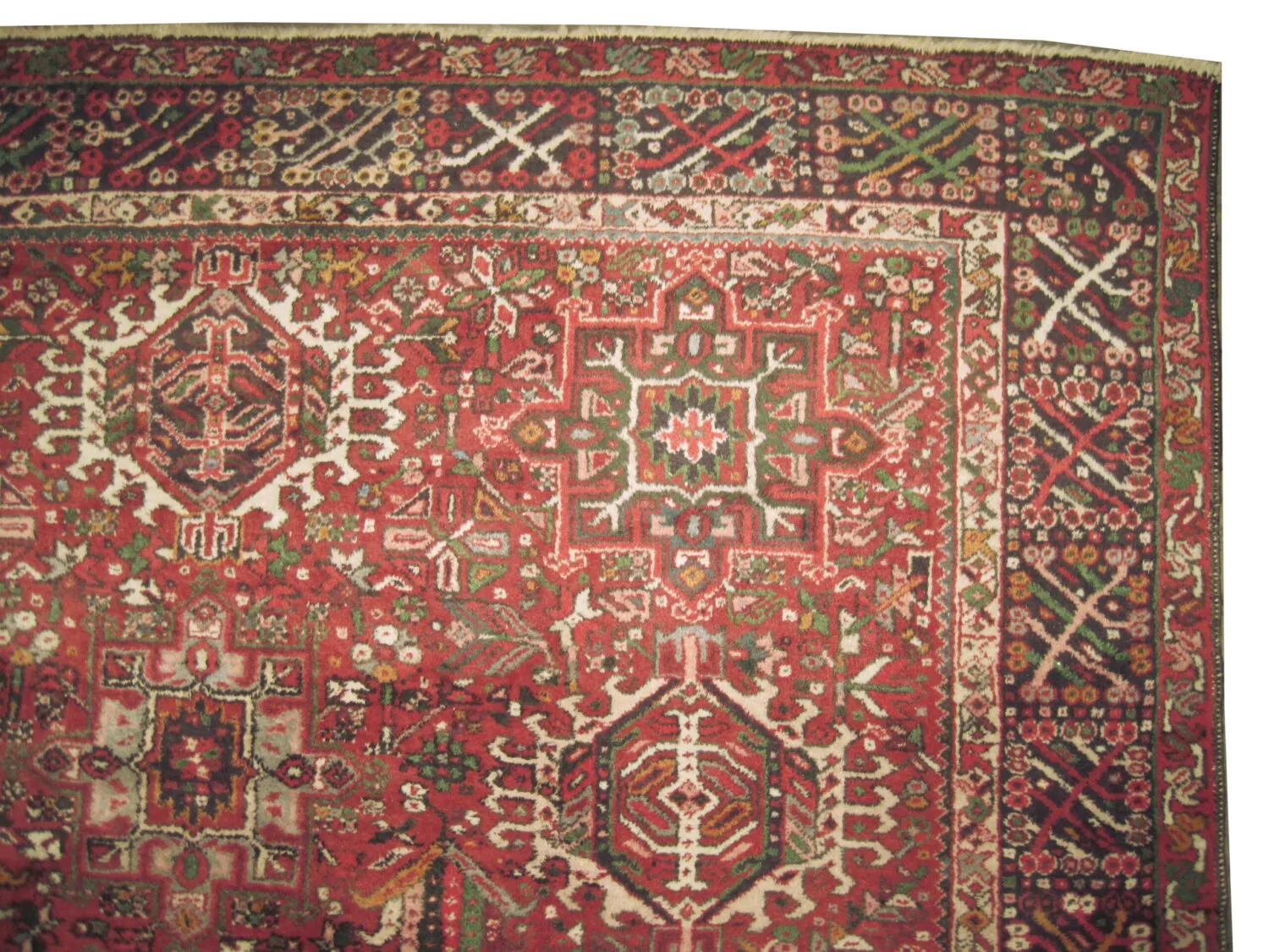 Karadja Persian - Image 3