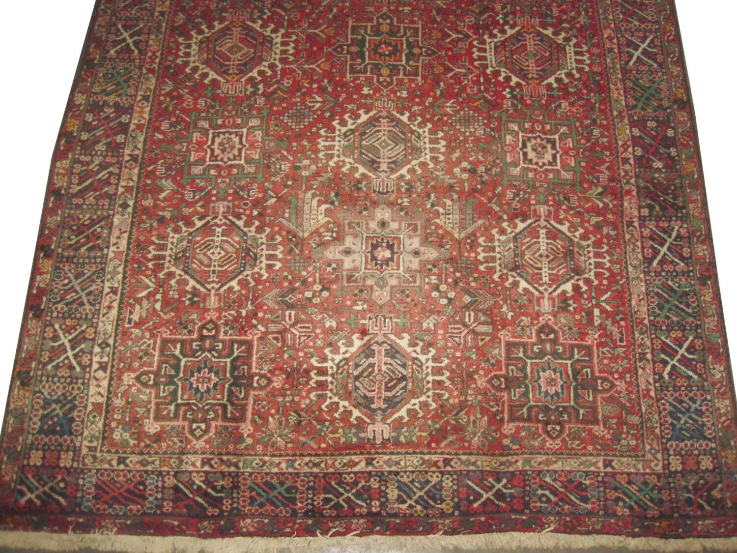 Karadja Persian - Image 2