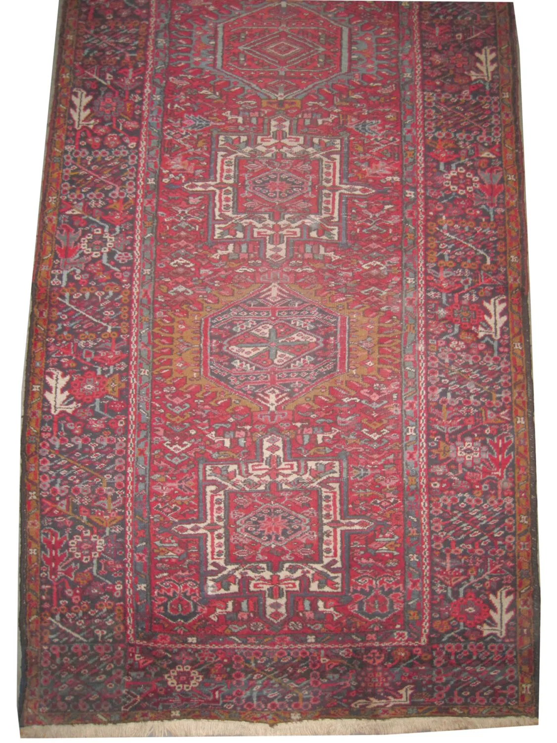 Karadja Persian - Image 2