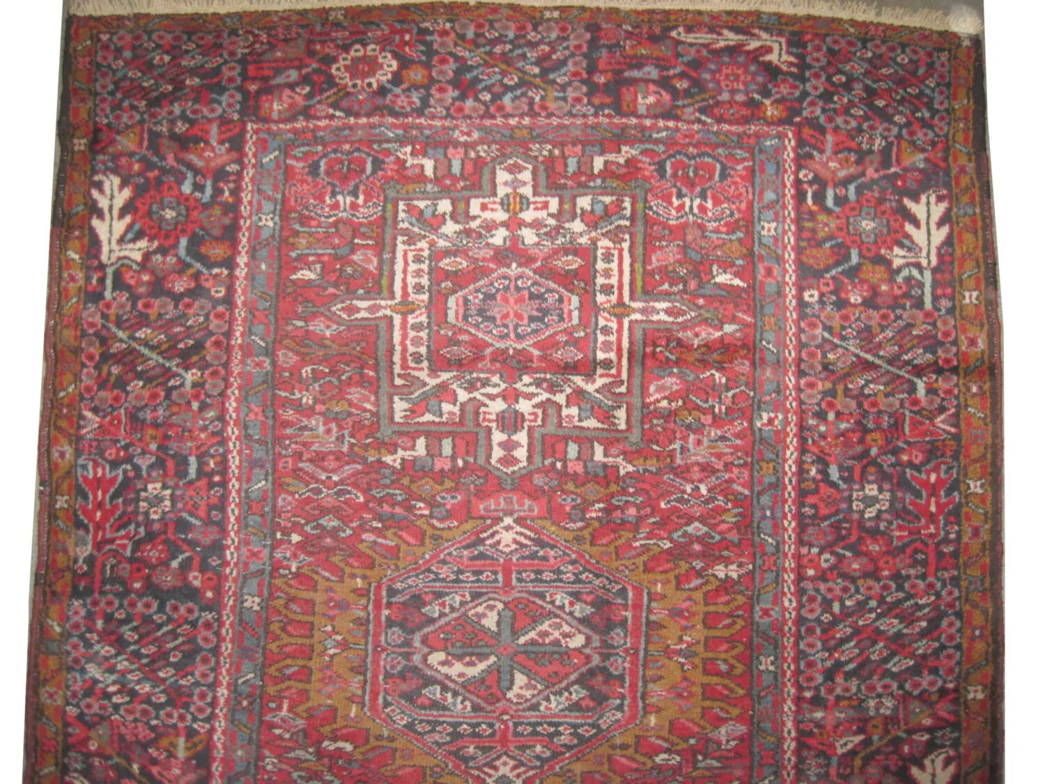 Karadja Persian - Image 3