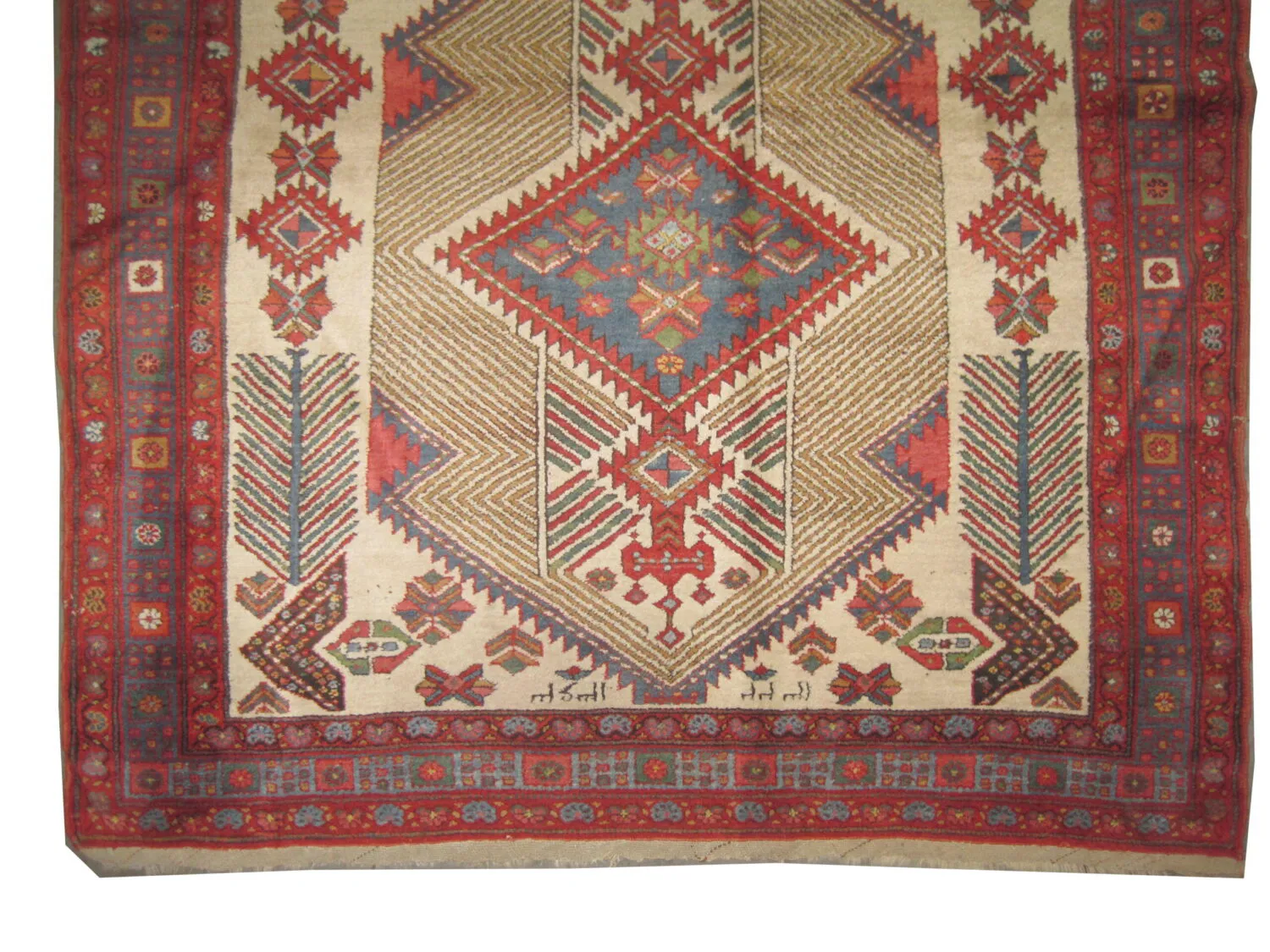 Sarab Persian - Image 3