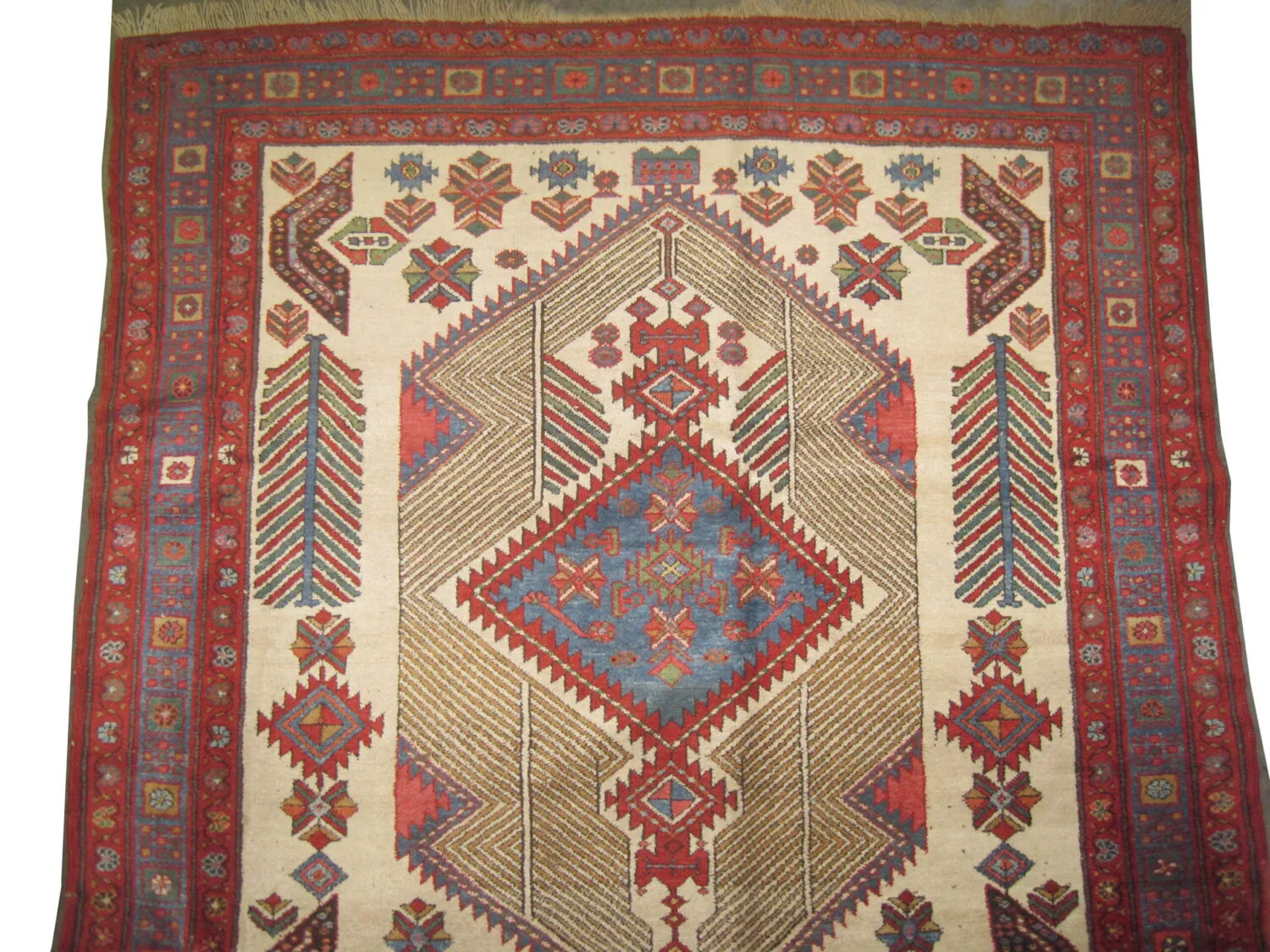 Sarab Persian - Image 2