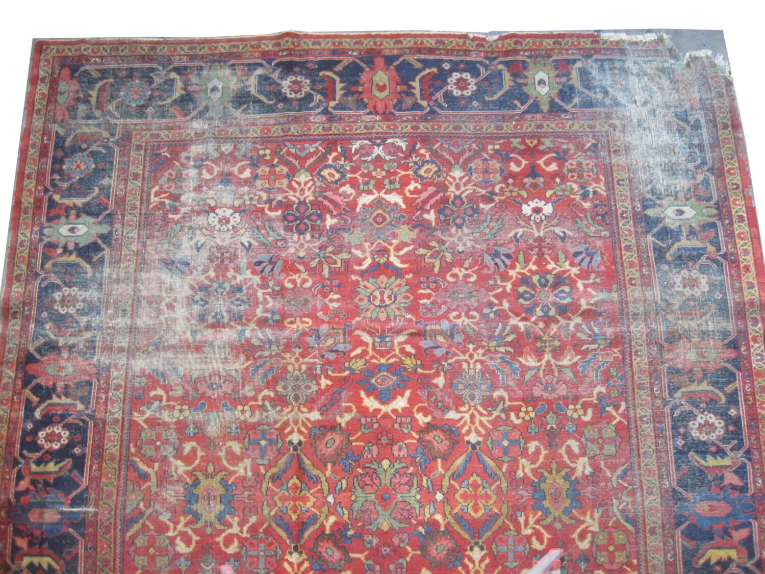 Ziegler Mahal Persian - Image 2