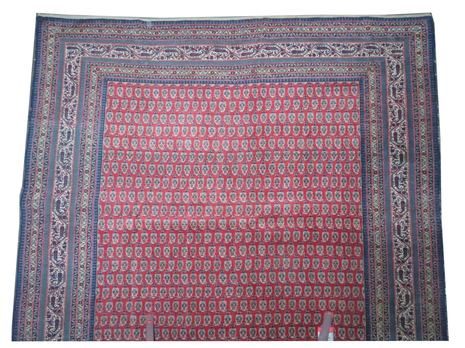 Tabriz Persian - Image 2