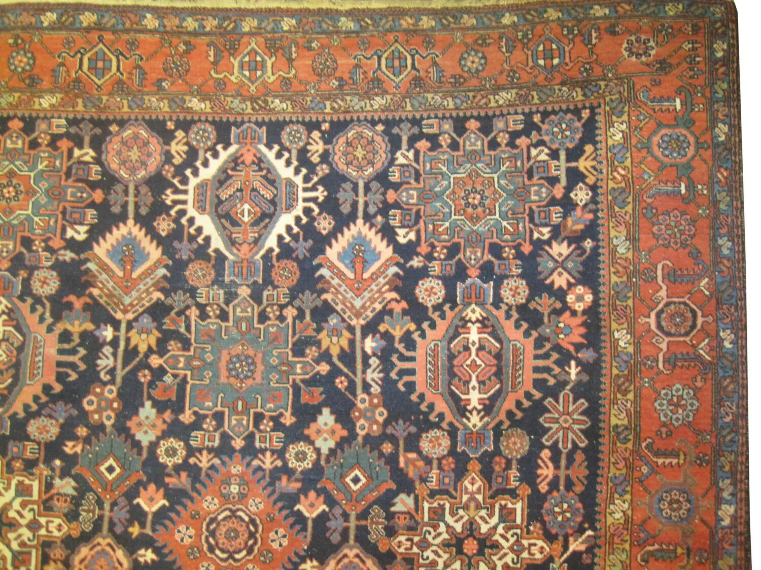Karadja Persian - Image 3