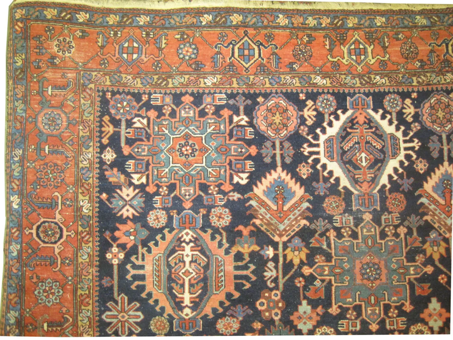 Karadja Persian - Image 2