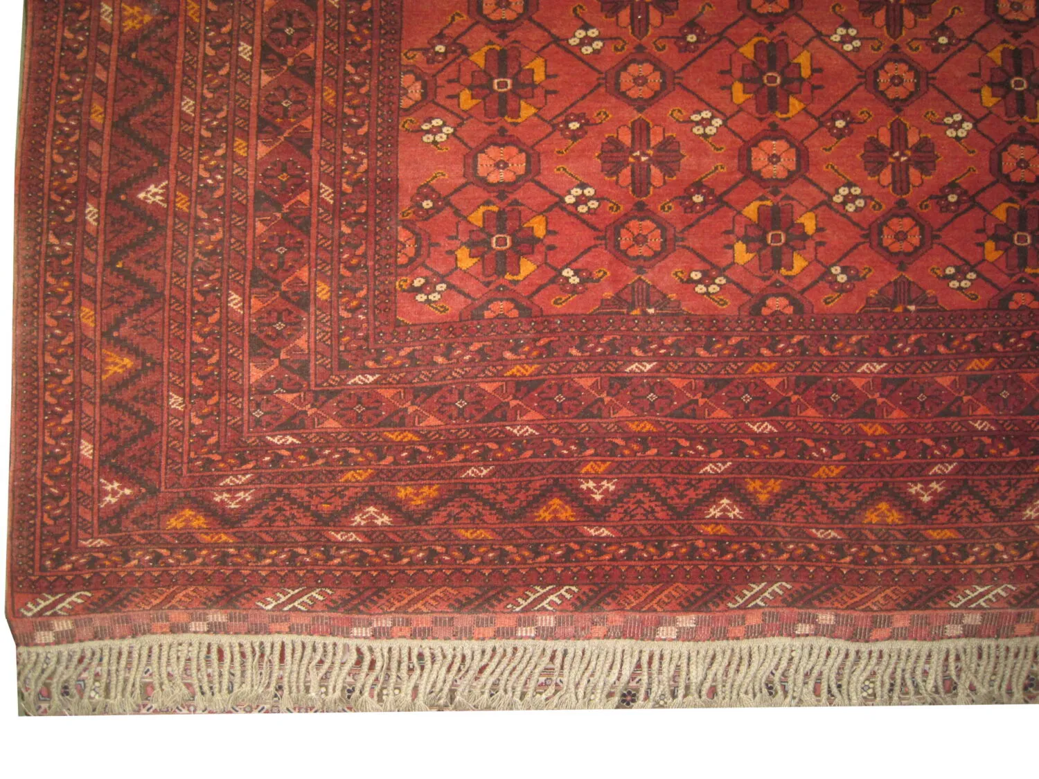 Kunduz Afghan - Image 2