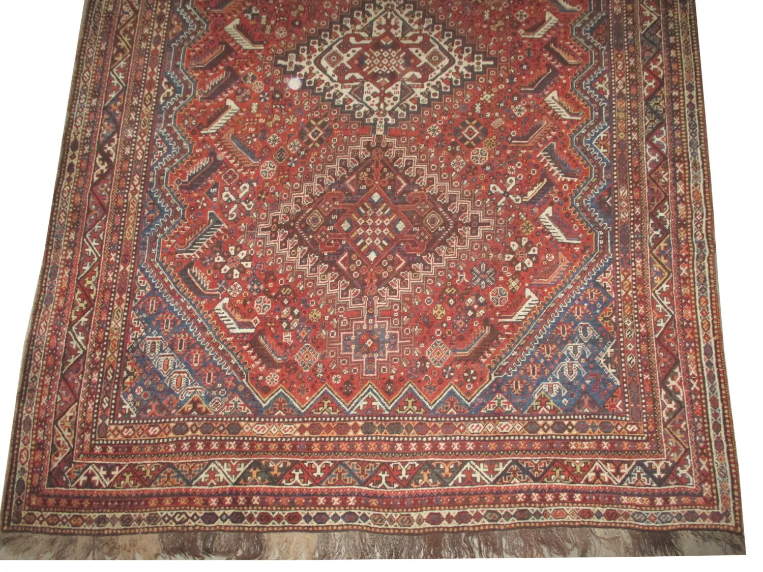 Qashqai Persian - Image 3