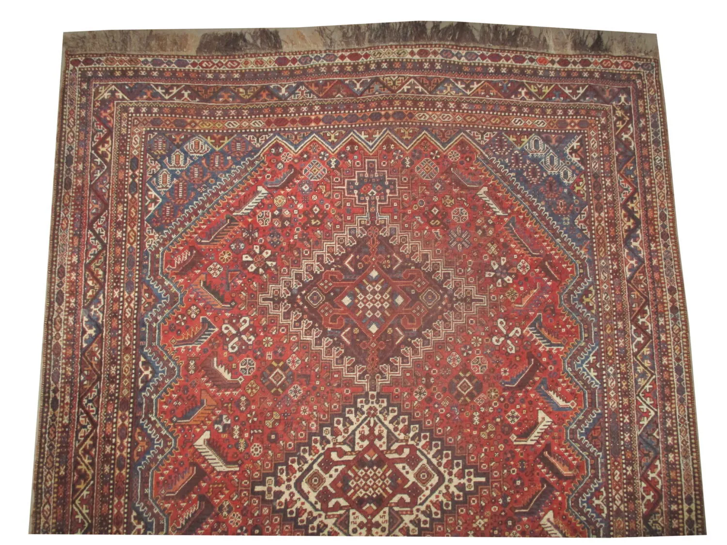 Qashqai Persian - Image 2