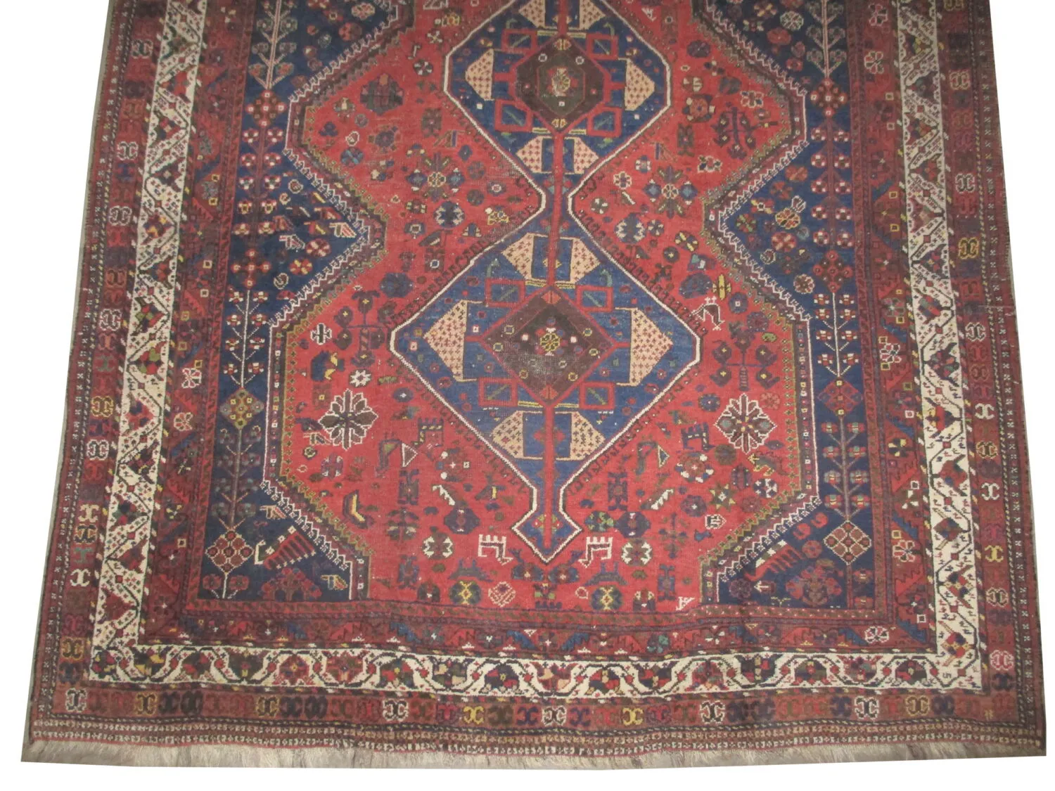 Shiraz Persian - Image 3