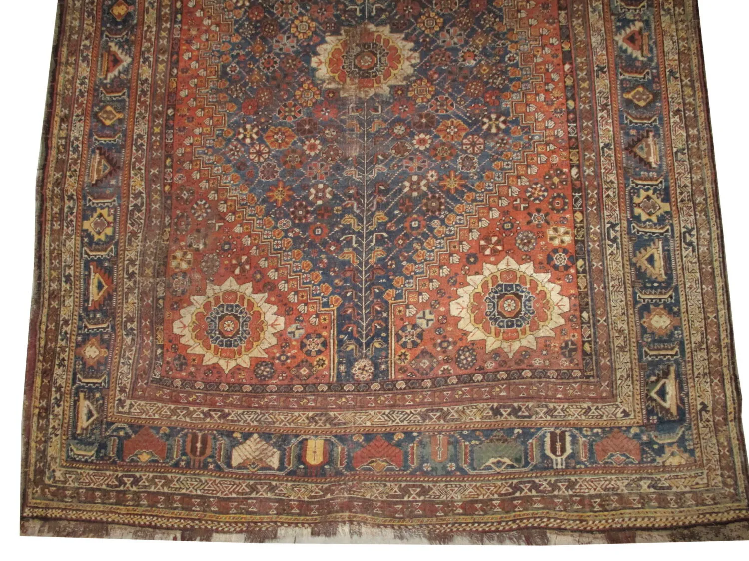 Qashqai Persian - Image 4