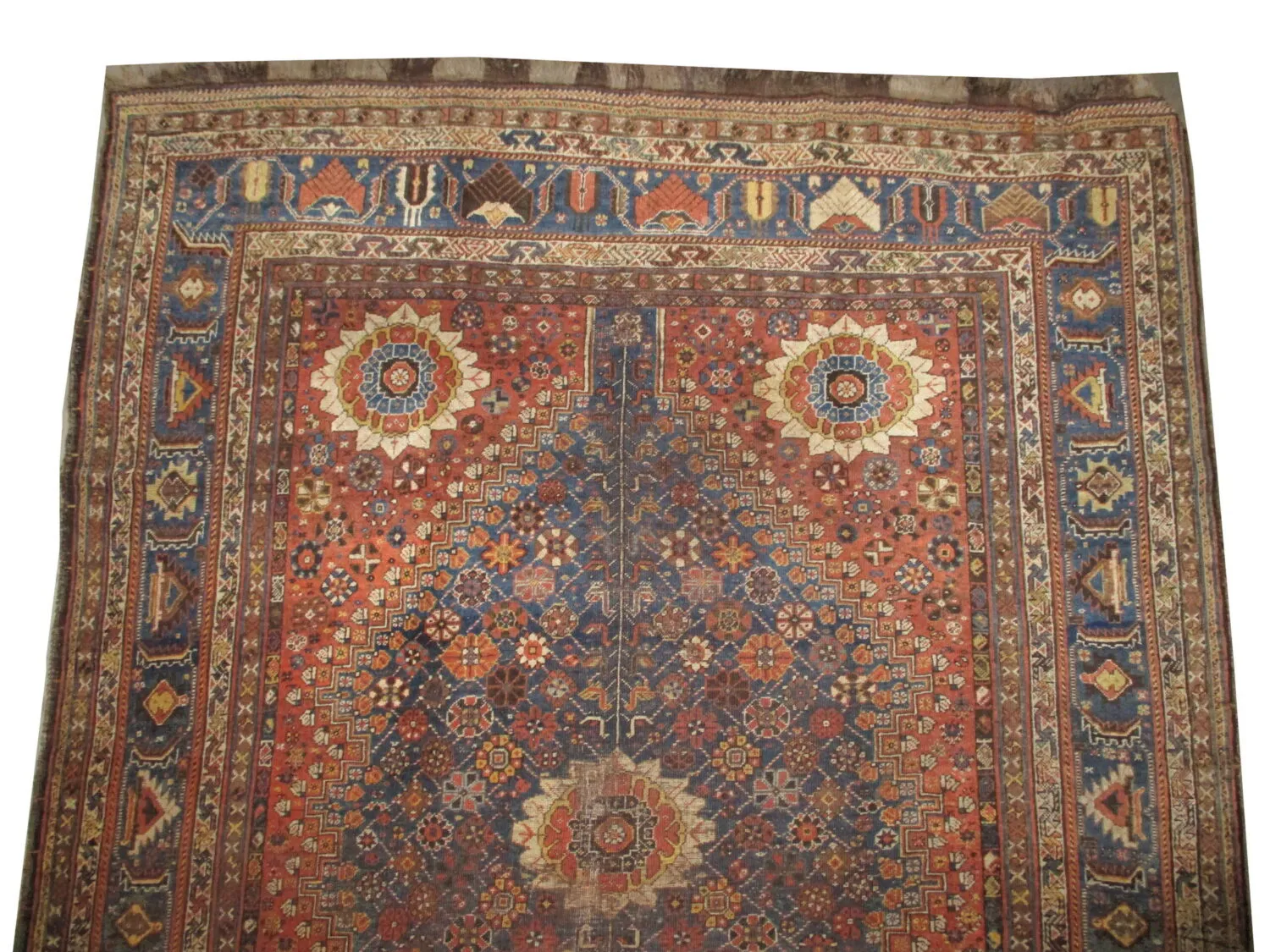 Qashqai Persian - Image 3