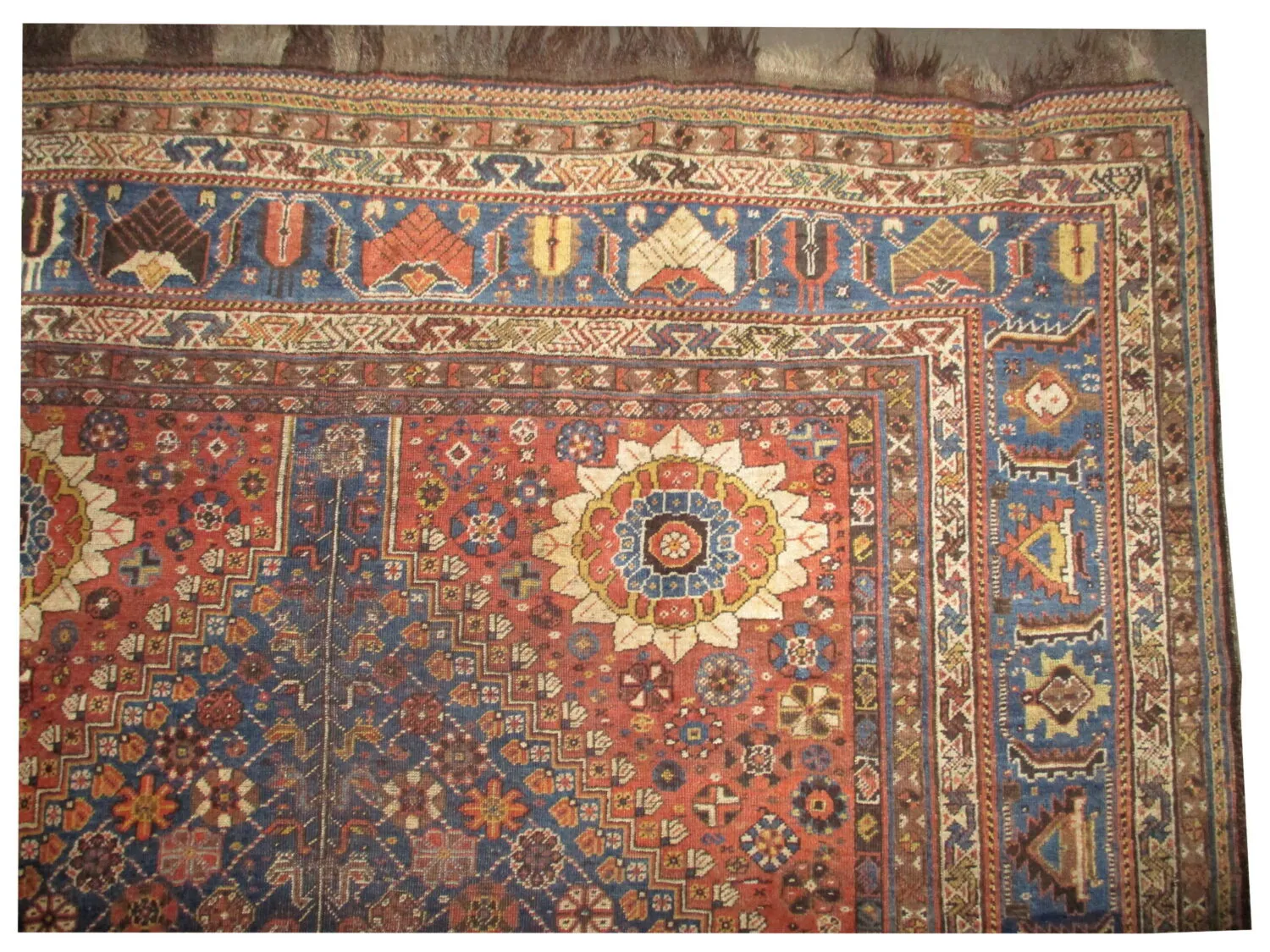 Qashqai Persian - Image 2