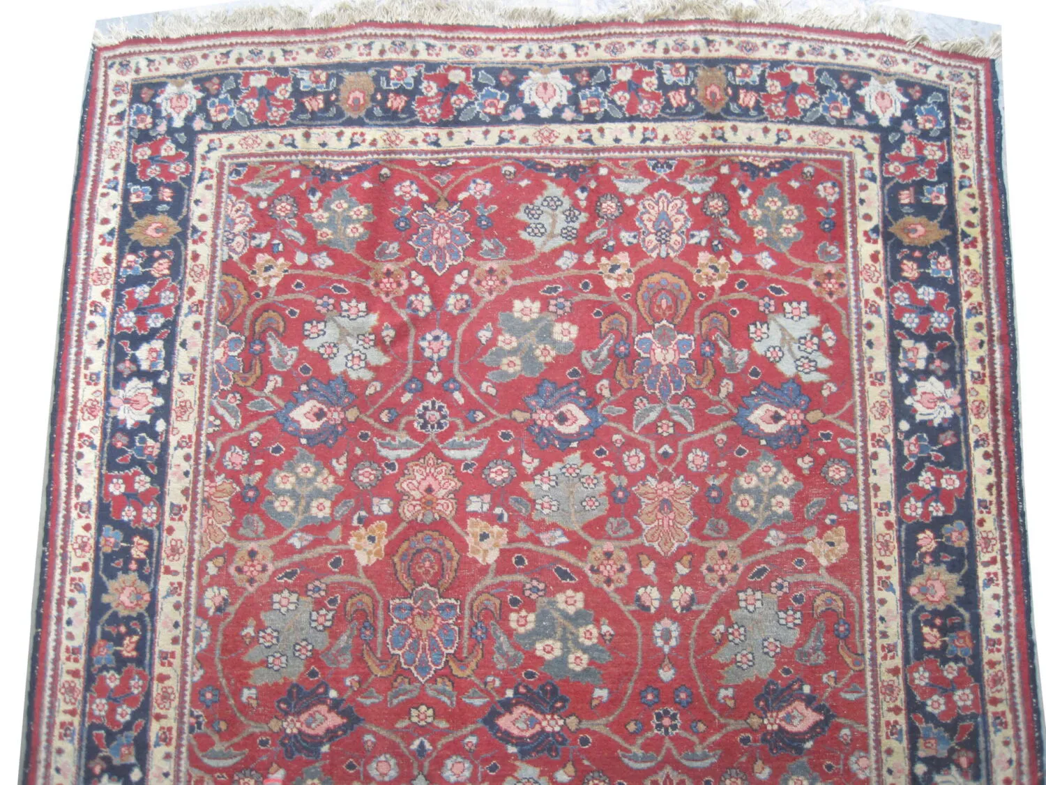 Tabriz Persian - Image 2