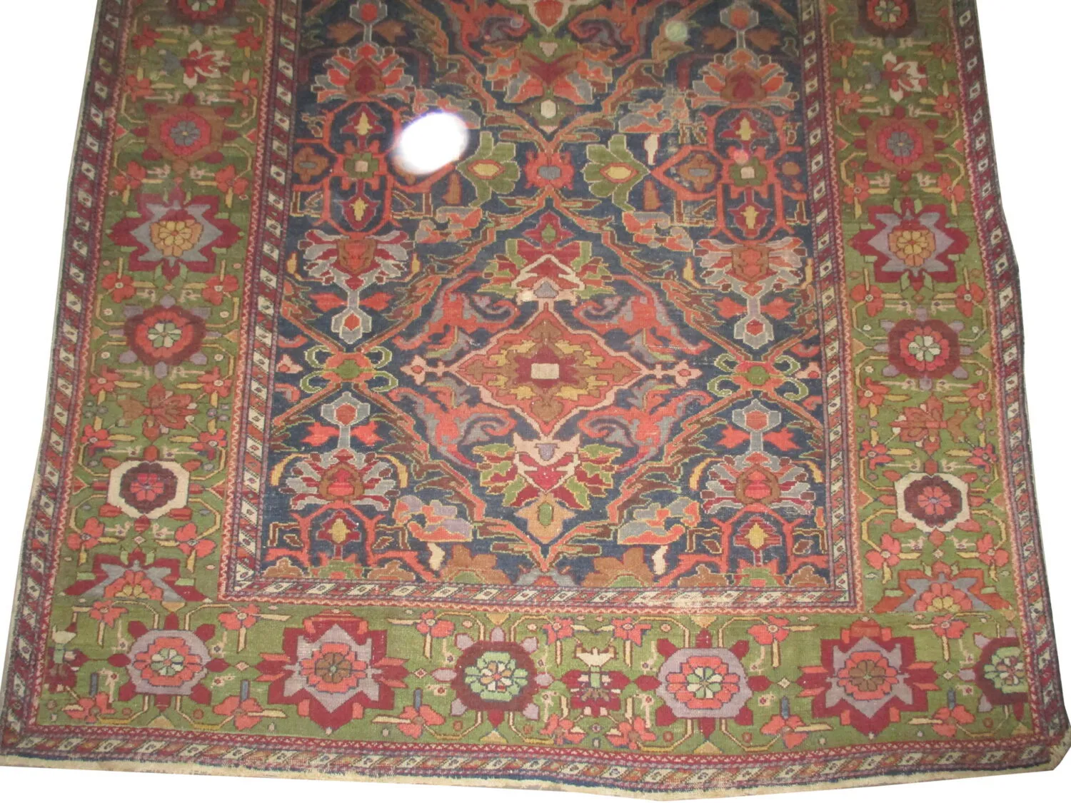 Malaier Persian - Image 3
