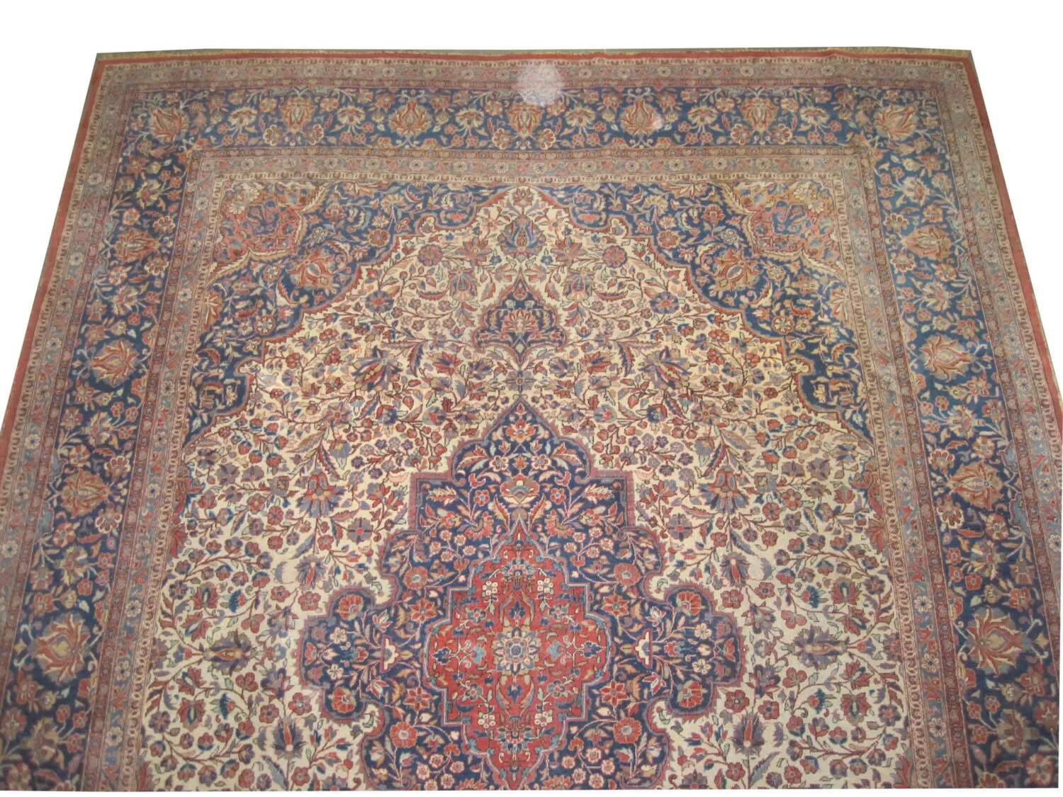 Kashan Persian - Image 3