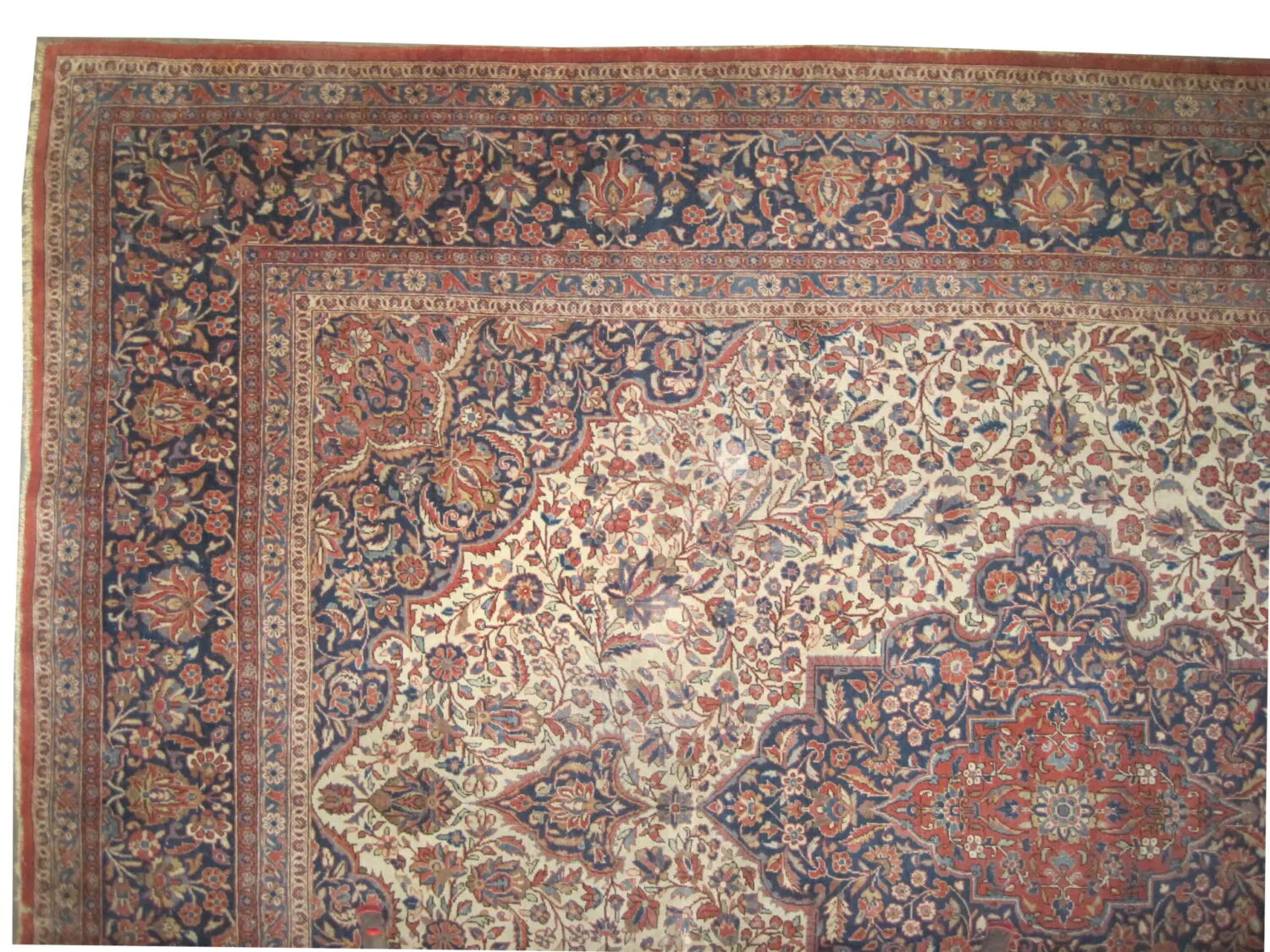 Kashan Persian - Image 2