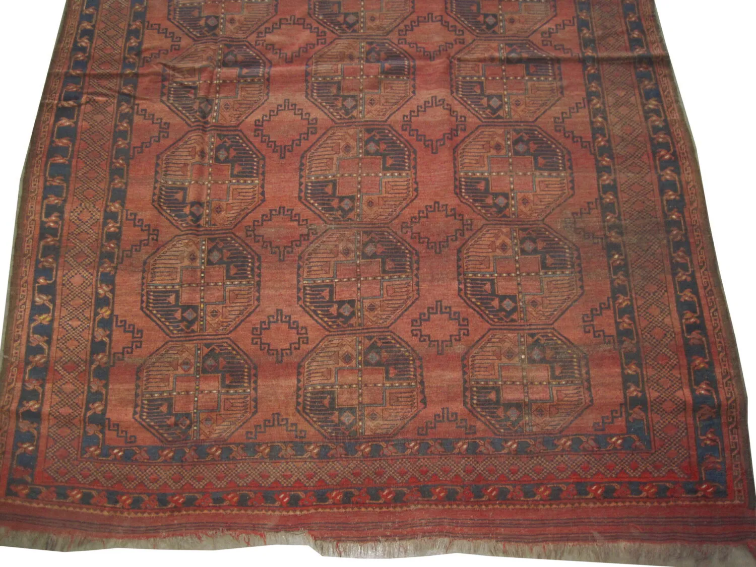 Ersari Turkmen - Image 3