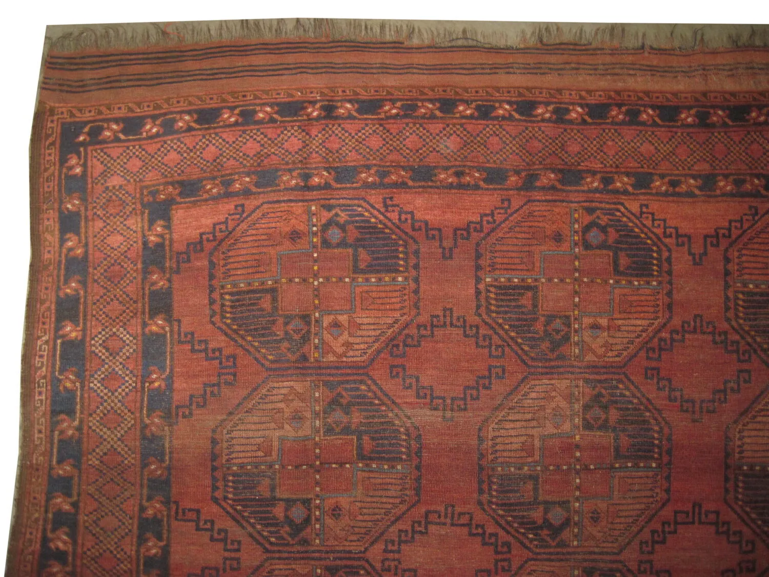 Ersari Turkmen - Image 2
