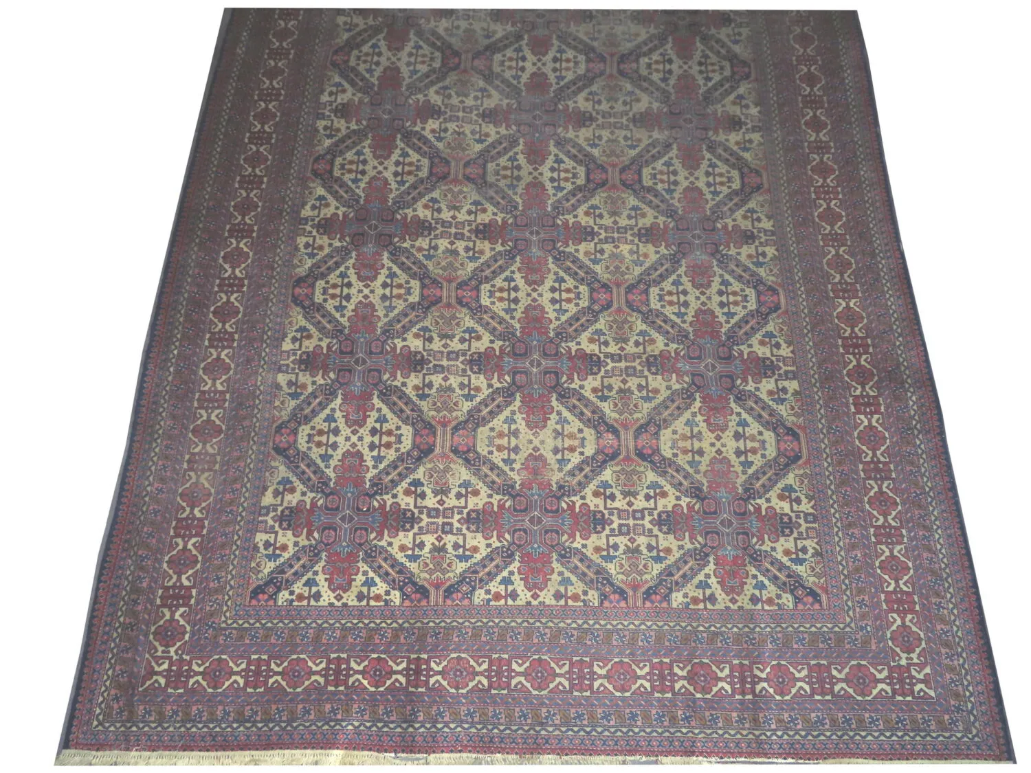 Tabriz Persian - Image 3