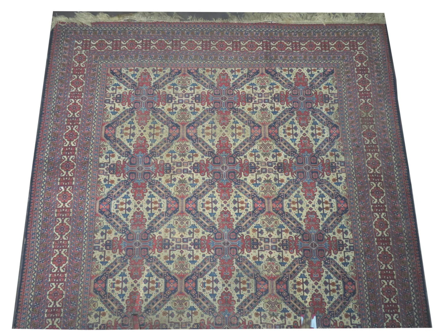 Tabriz Persian - Image 2