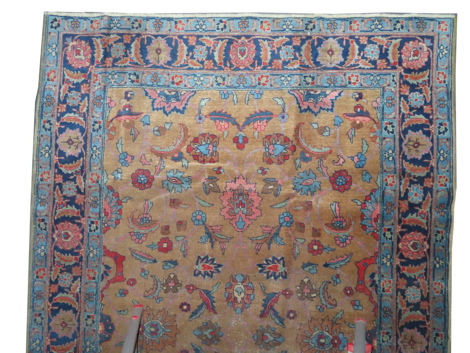 Tabriz Persian - Image 2