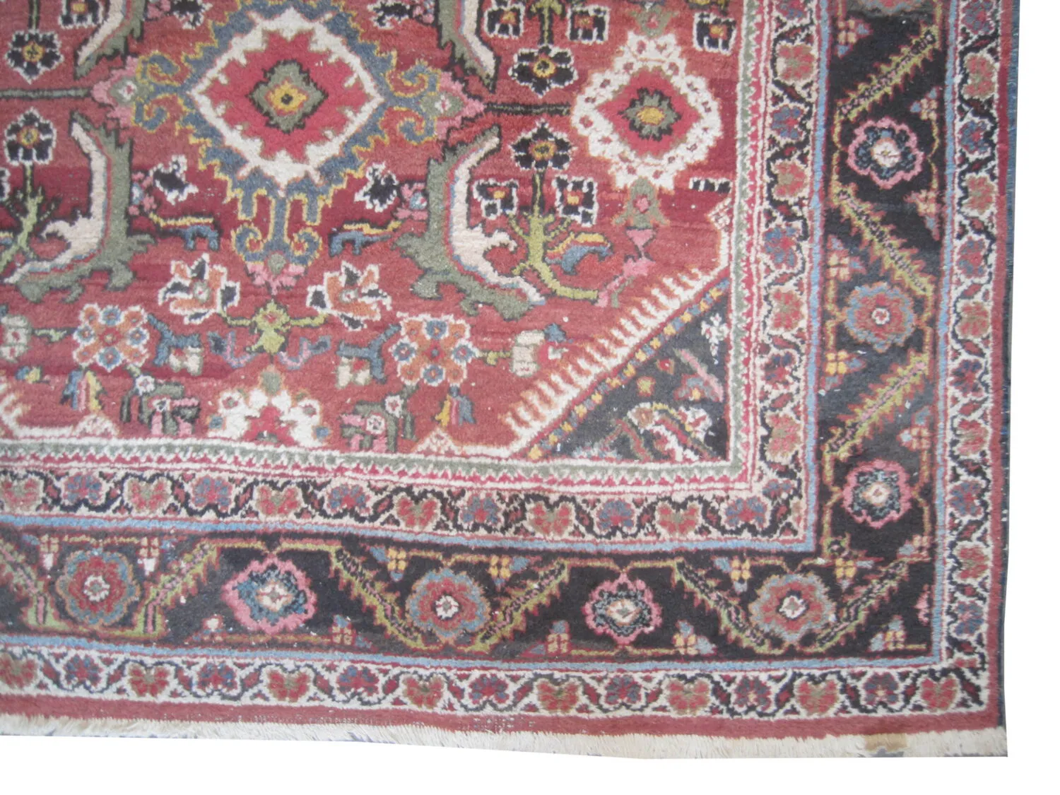 Mahal Persian - Image 3