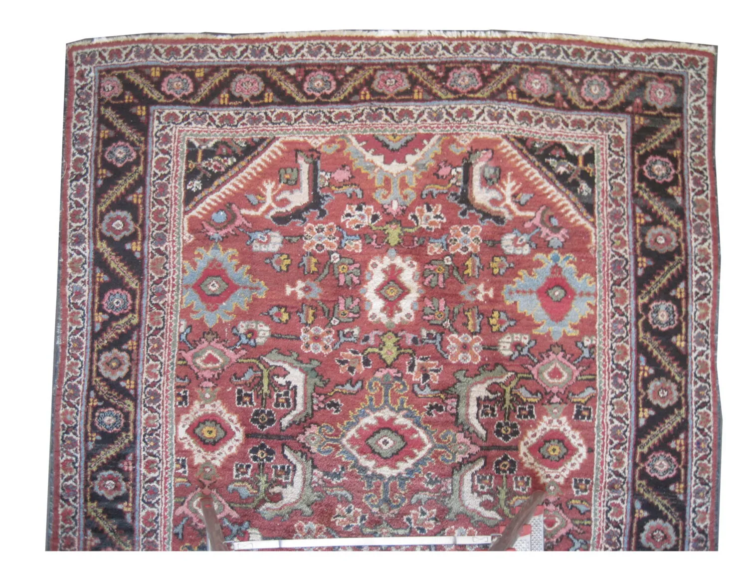 Mahal Persian - Image 2