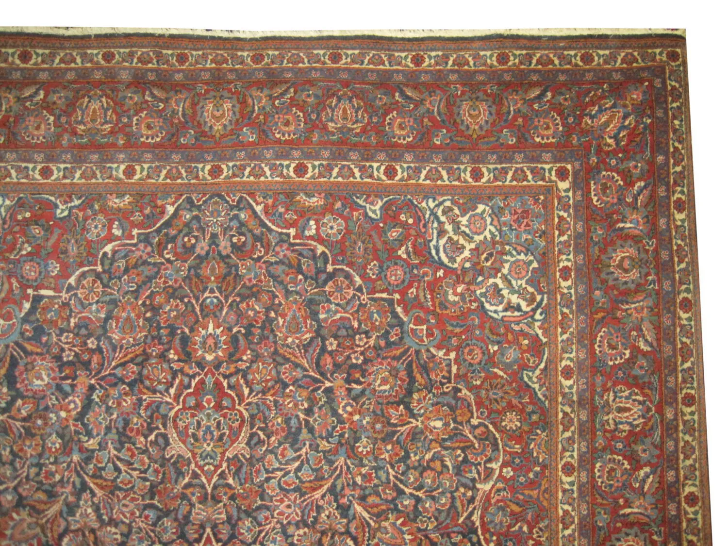 Kashan Persian - Image 2