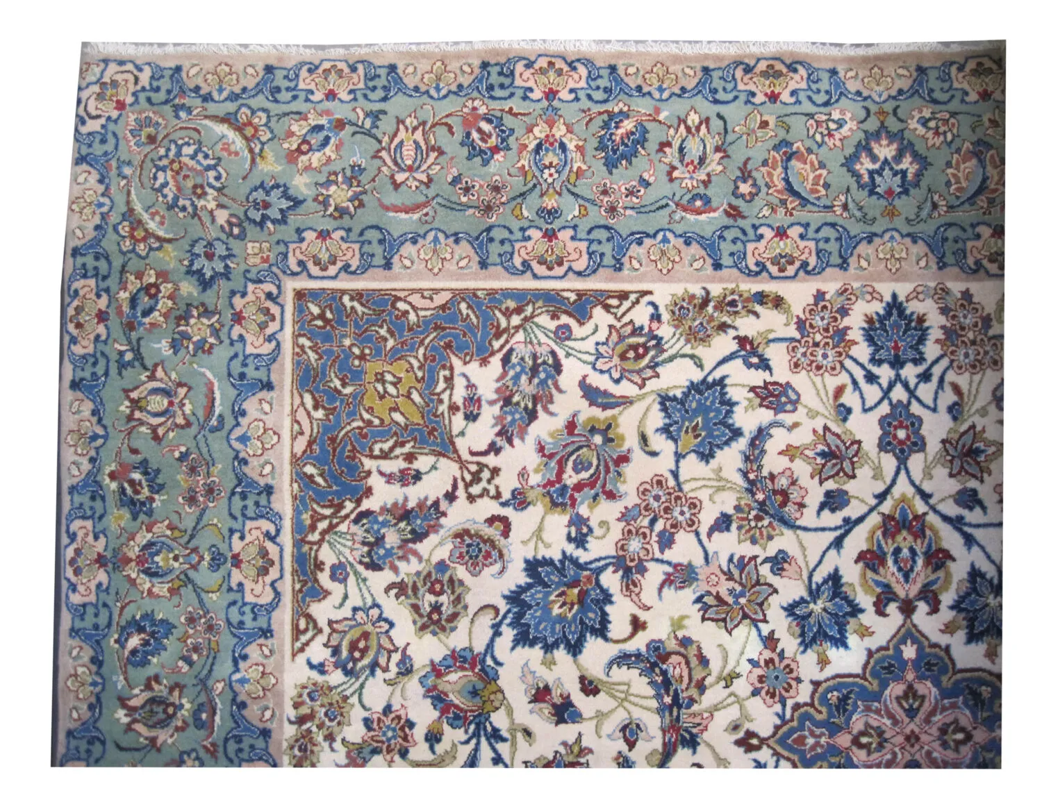 Kashan Persian - Image 3